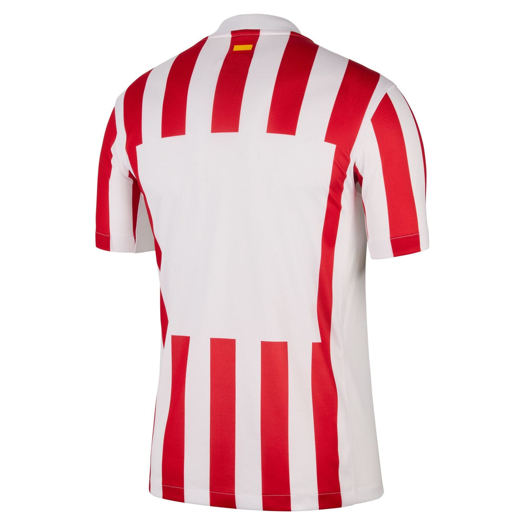 Atletico Madrid 25/26 Home Jersey (HJ4587-615)