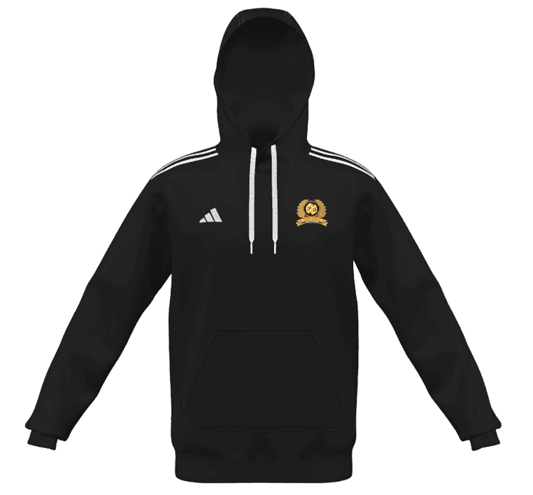 BORONIA  Adidas Mi Entrada 22 Hoodie Youth (IA0420-BLACK)