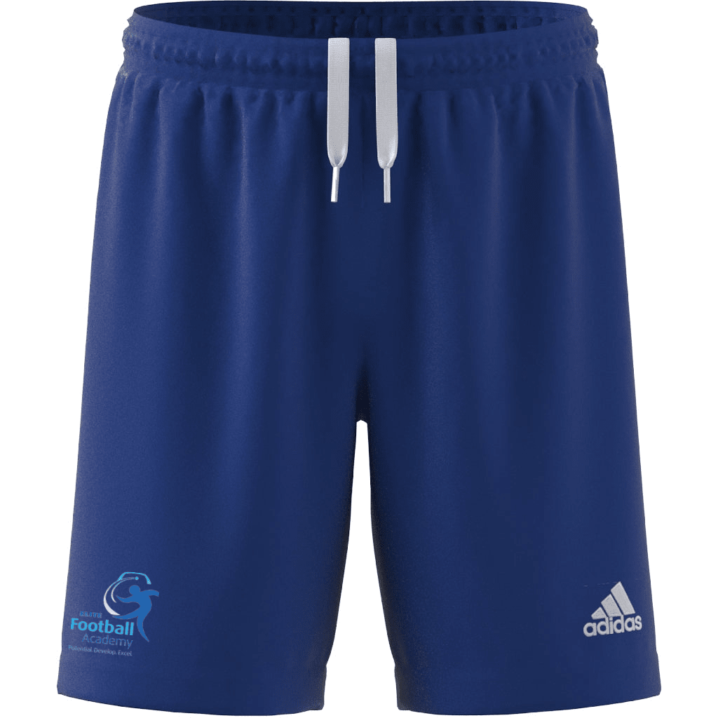 ELITE FOOTBALL ACADEMY  Entrada 22 Youth Shorts (HG6291)