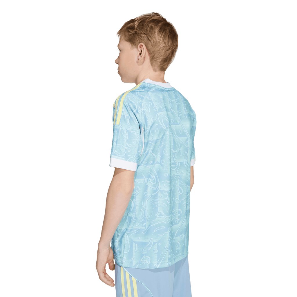Juventus 25/26 Away Youth Jersey (JN5236)