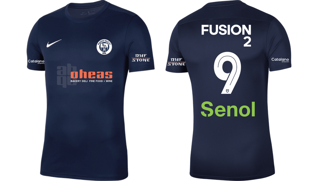 PASCOE VALE FC Metro Men's Park 7 AWAY JERSEY (BV6708-410)