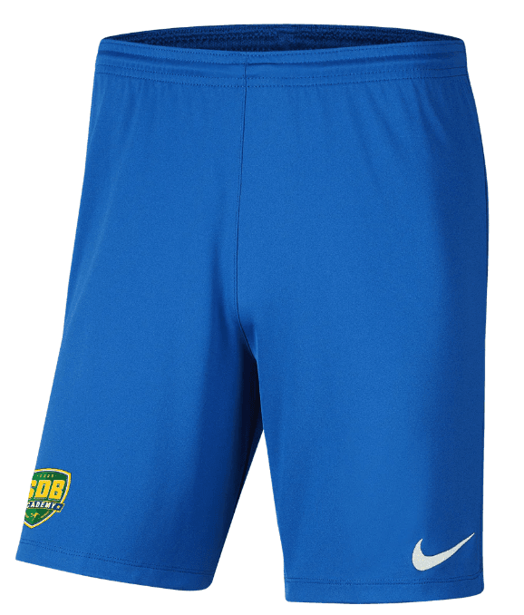SDB WA ACADEMY Men's Park 3 Shorts (BV6855-463)