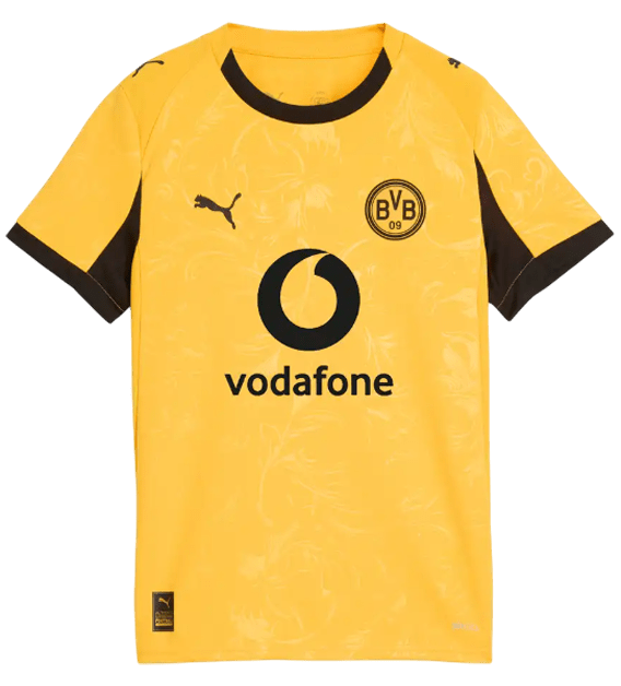 Borussia Dortmund 25/26 Cup Jersey (78011203)