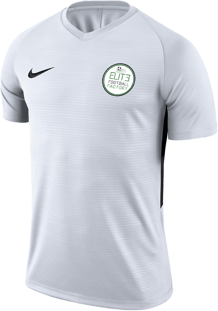 ELITE FOOTBALL FACTORY Men's Nike Tiempo Premier Jersey