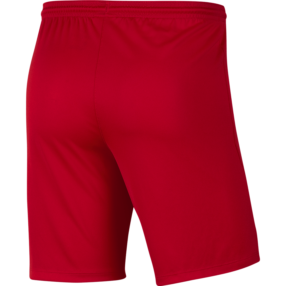 FV SAP PROGRAM MENS Nike Dri-FIT Park 3 Shorts
