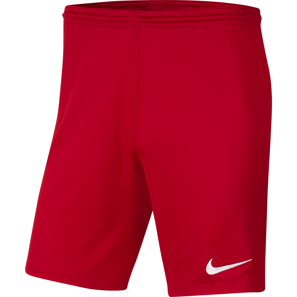 FV SAP PROGRAM MENS Nike Dri-FIT Park 3 Shorts