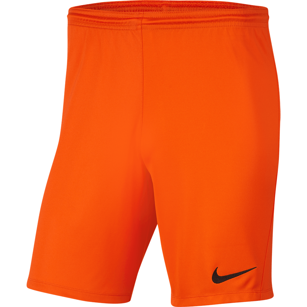 WEST FV TIDC Men's Nike Dri-FIT Park 3 Shorts