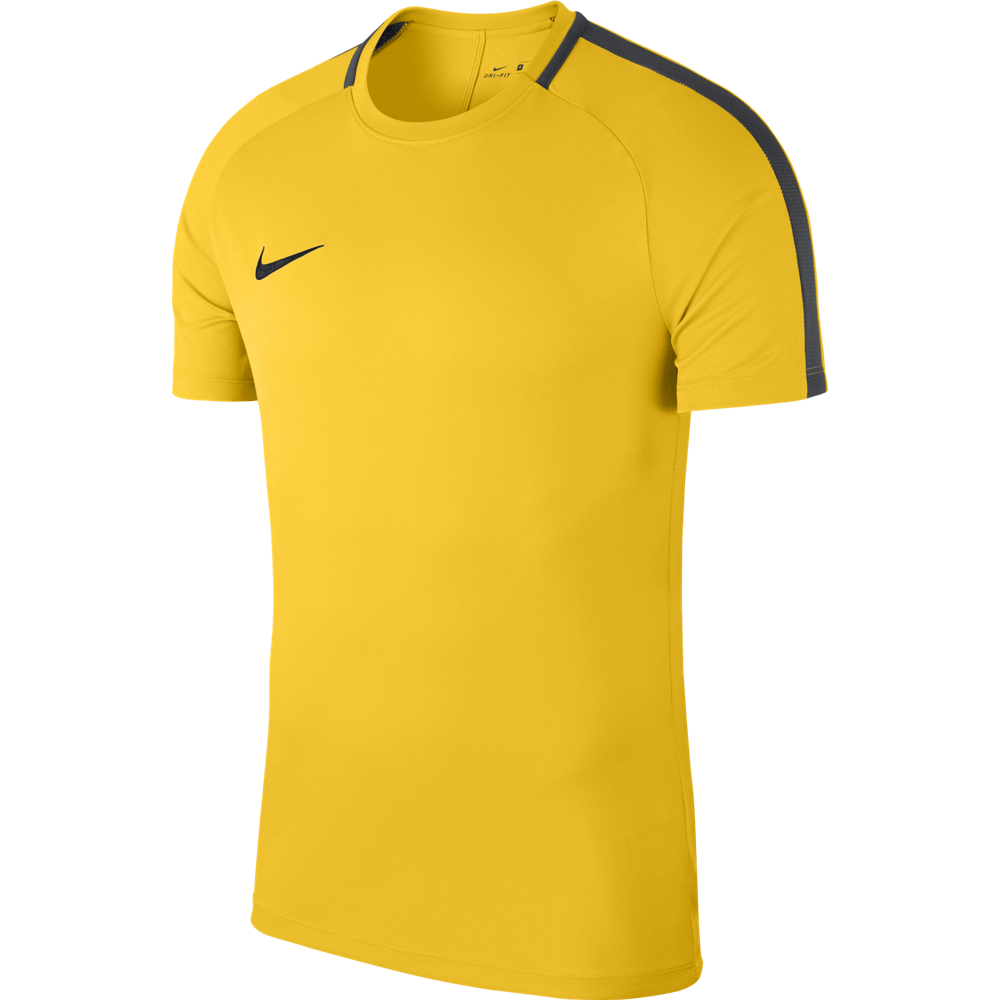MEN'S Nike DRY ACADEMY 18 JERSEY (893693-719)