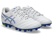 DS Light Jr GS MG (1104A054.102) Footwear Asics