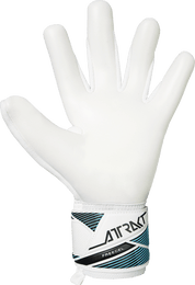 Attrakt Freegel Advance (56702351080)