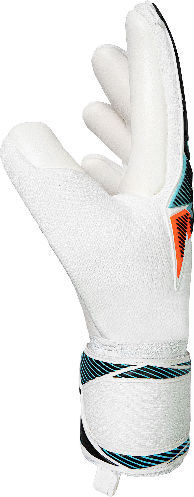 Attrakt Freegel Advance (56702351080)