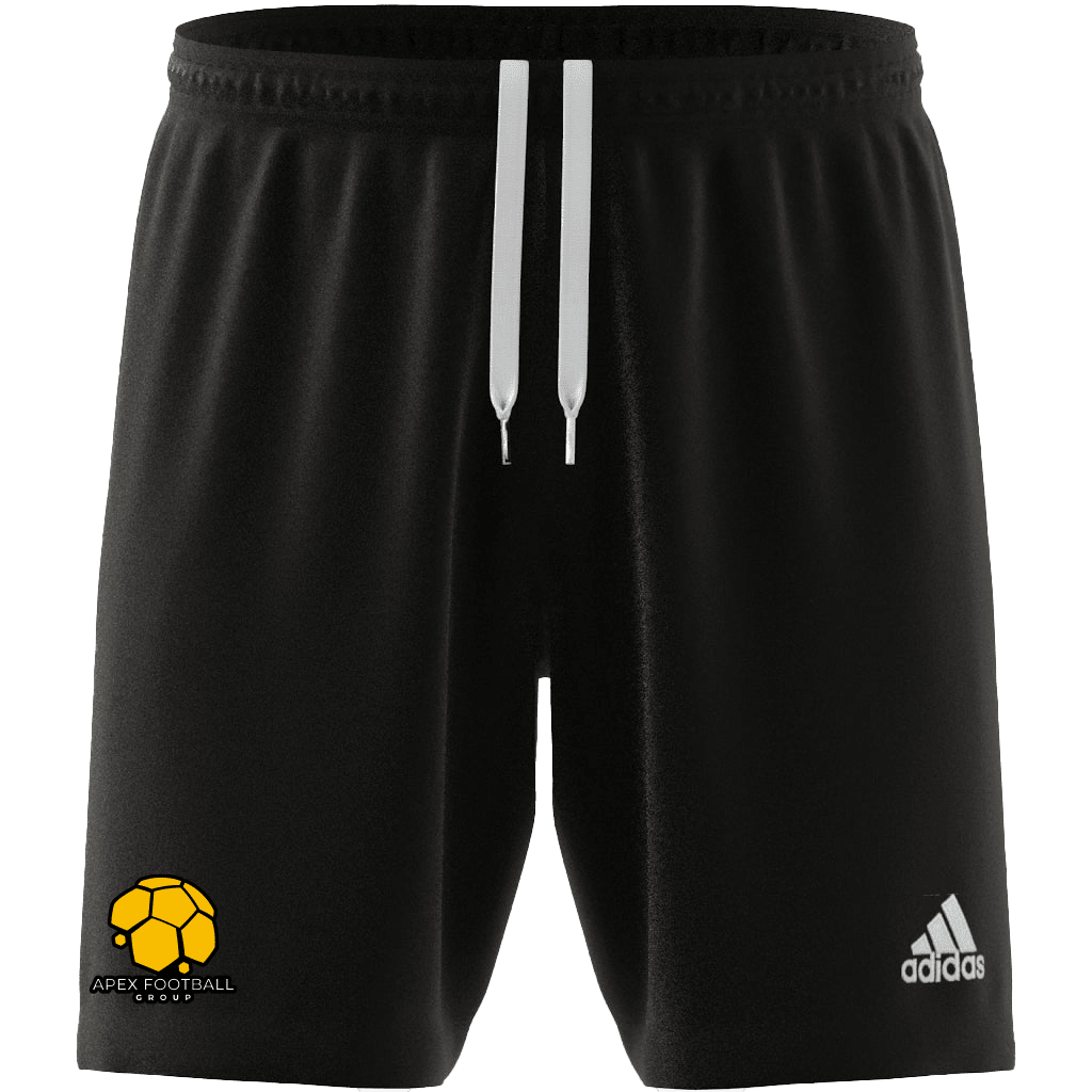 APEX FOOTBALL  Entrada 22 Youth Shorts (H57502)