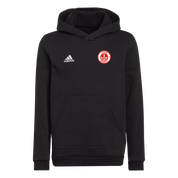 ALBION ROVERS Entrada 22 Youth Hoodie (H57516) ALBION ROVERS Adidas Club Zone