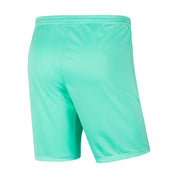 Youth Park 3 Shorts (BV6865-354) Apparel Nike