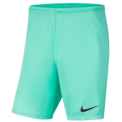 Youth Park 3 Shorts (BV6865-354) Apparel Nike