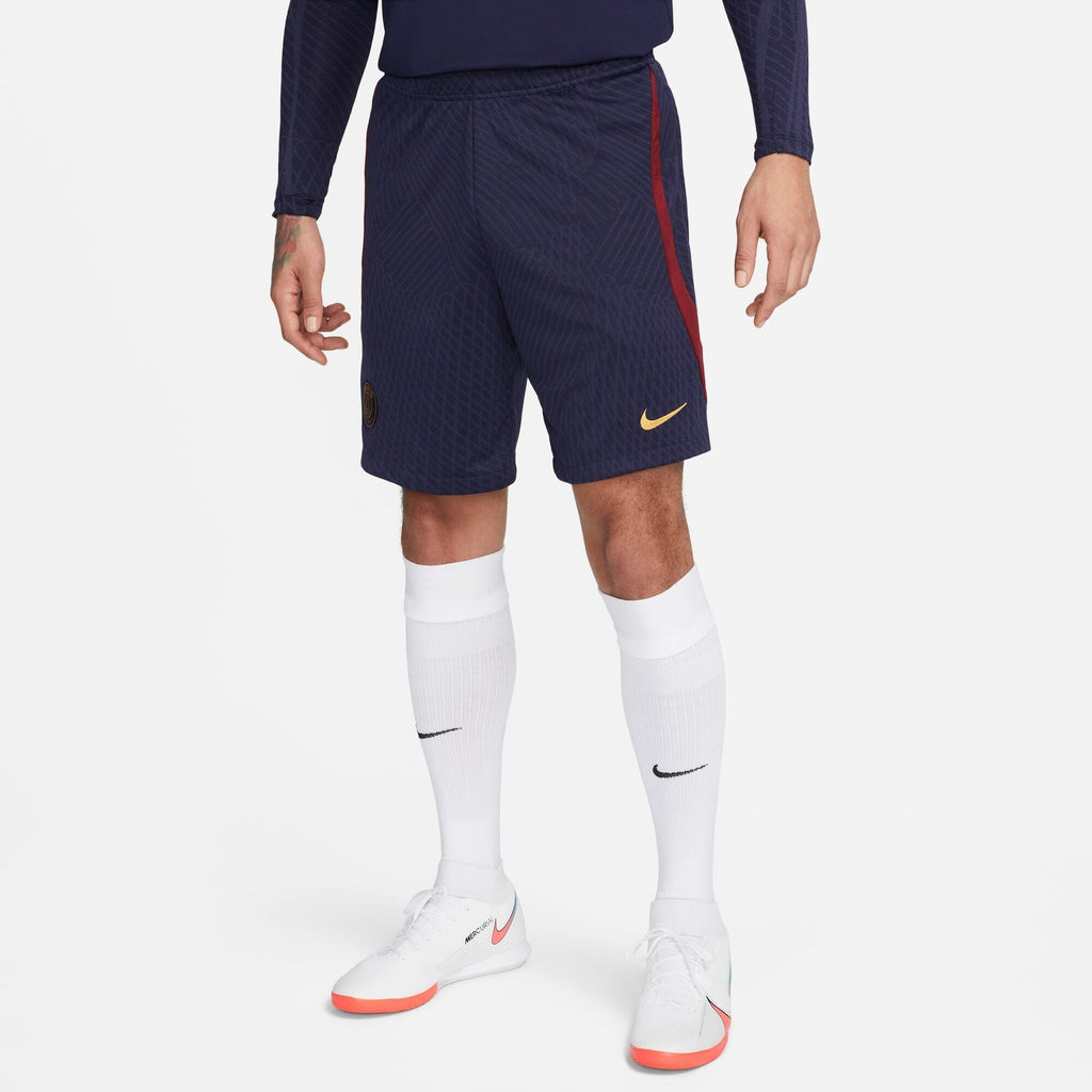 Paris Saint-Germain Soccer Shorts (DX3193-498)