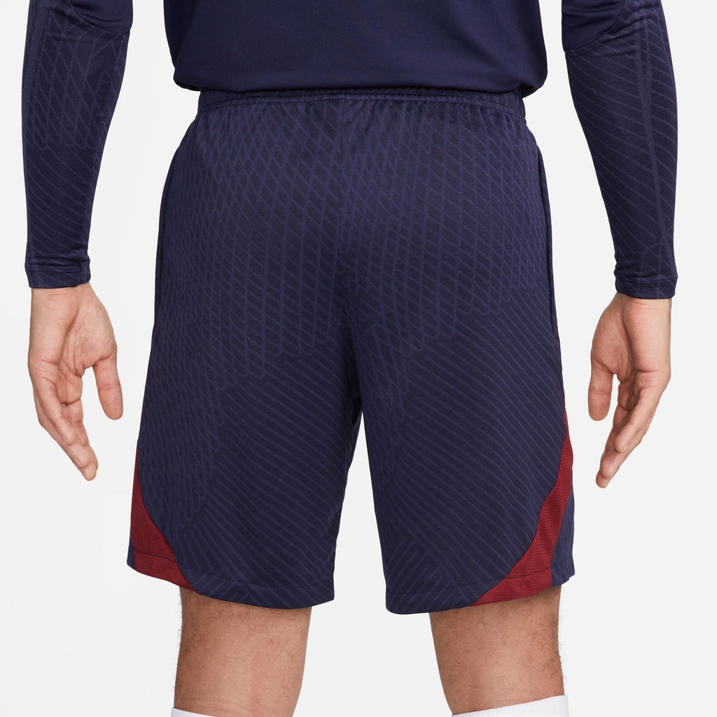 Paris Saint-Germain Soccer Shorts (DX3193-498)