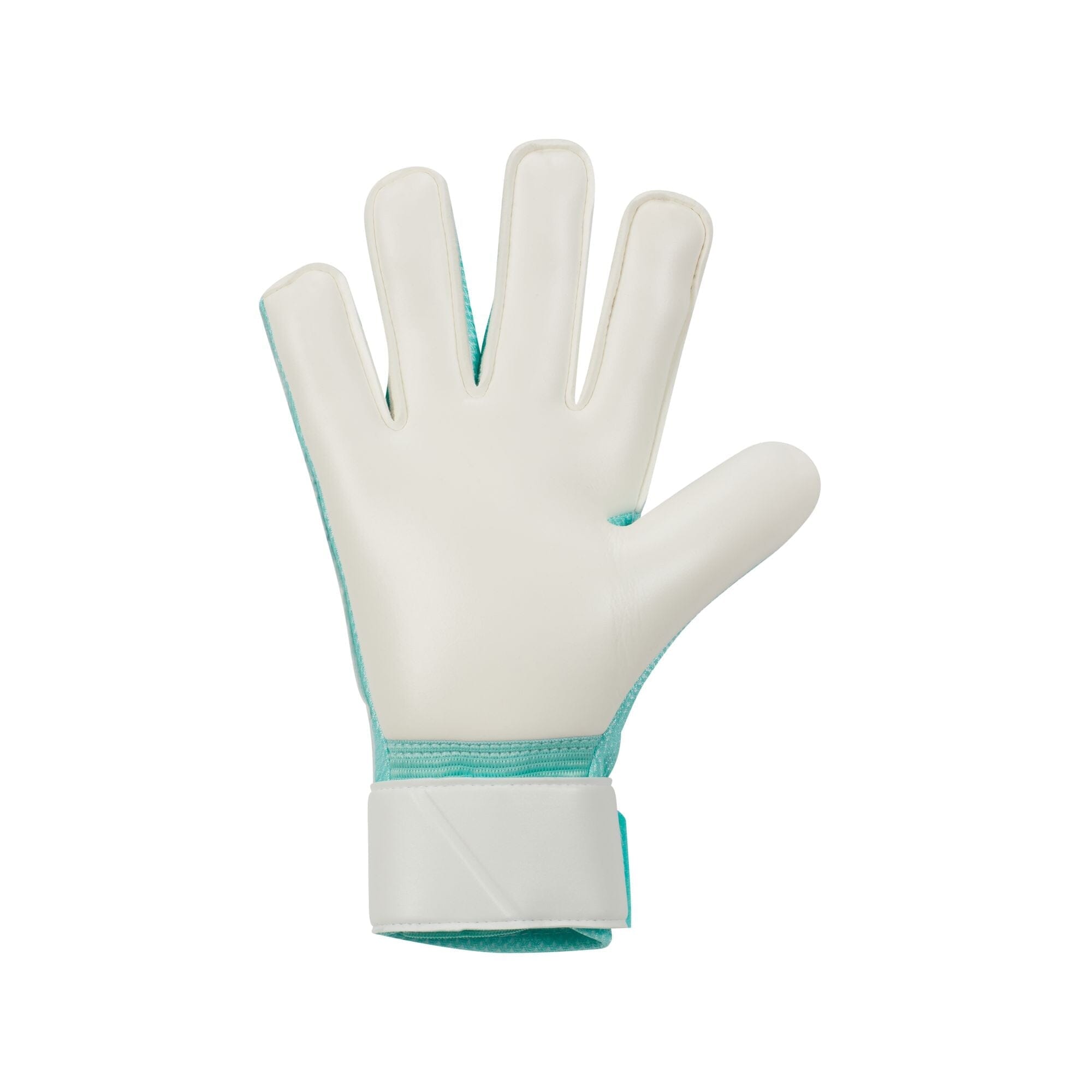 Match Goalkeeper Gloves (FJ4862-010) Teamwear Gloves Nike