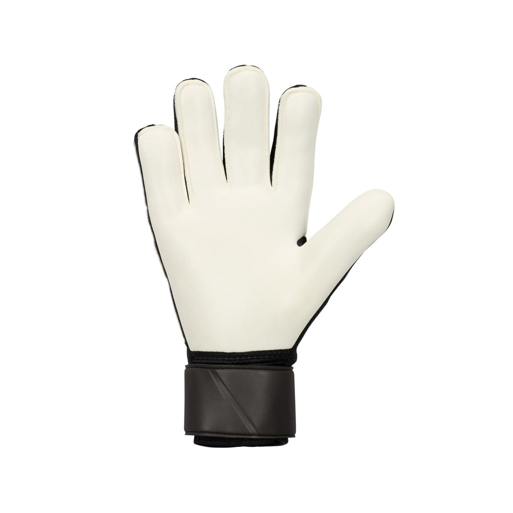 Match Goalkeeper Gloves (FJ4862-013)