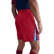 FC Barcelona 25/26 Fourth Shorts (FZ1332-602) Apparel Nike