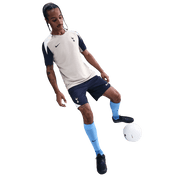 Tottenham Hotspur Strike Men's Nike Dri-FIT Soccer Knit Shorts (HJ6758-424) Apparel Nike