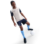 Tottenham Hotspur Strike Men's Nike Dri-FIT Soccer Short-Sleeve Top (HJ7760-014) Apparel Nike