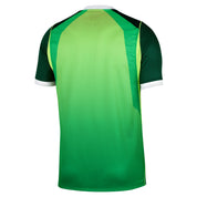 Nigeria 26/27 Home Jersey (IB5308-302)