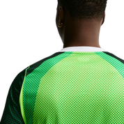 Nigeria 26/27 Home Jersey (IB5308-302)