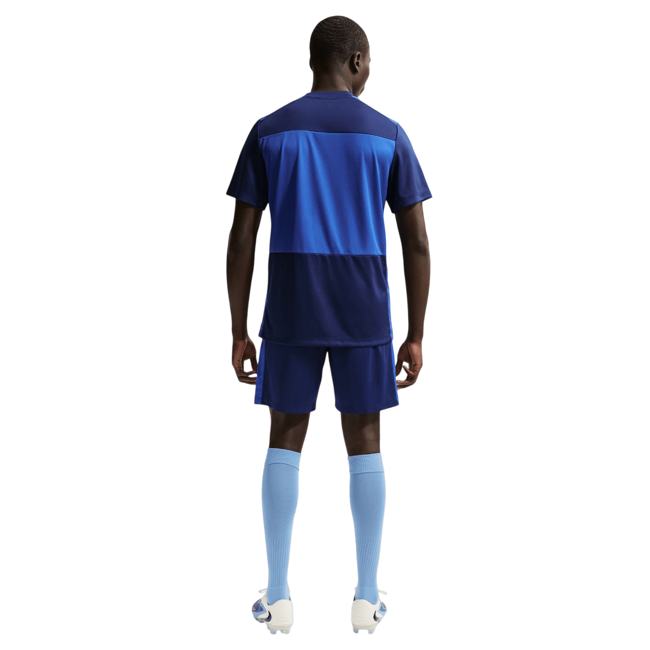 Men's Academy+ Dri-FIT Shorts (IF1526-492) Apparel Nike
