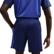 Men's Academy+ Dri-FIT Shorts (IF1526-492) Apparel Nike