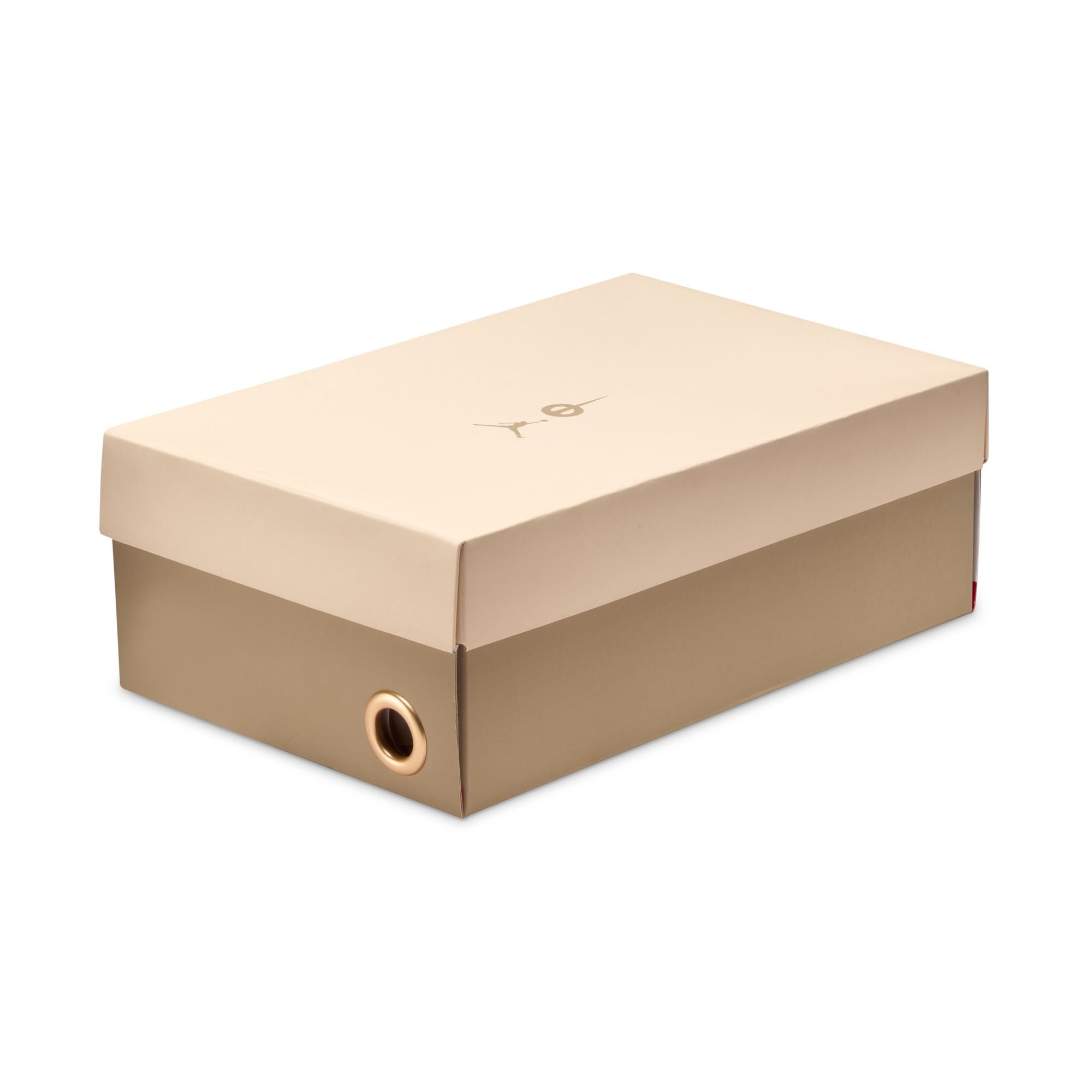 Tiempo Streetgato x Air Jordan Indoor Court - Special Edition (II7579-016)