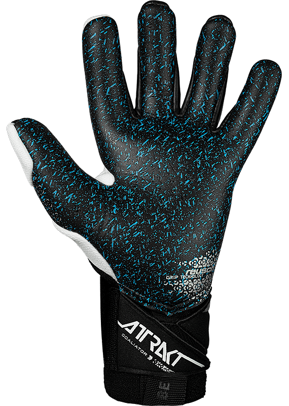 Attrakt Freegel Fusion Goaliator (55709951125)