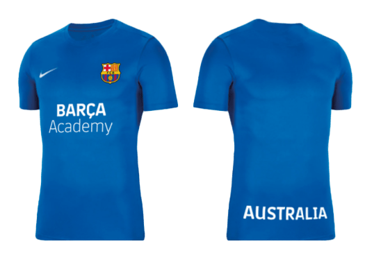 BARCA ACADEMY  Men's Park 7 Jersey (BV6708-463)