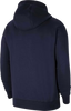Men's Park 20 Hoodie (CW6894-451)