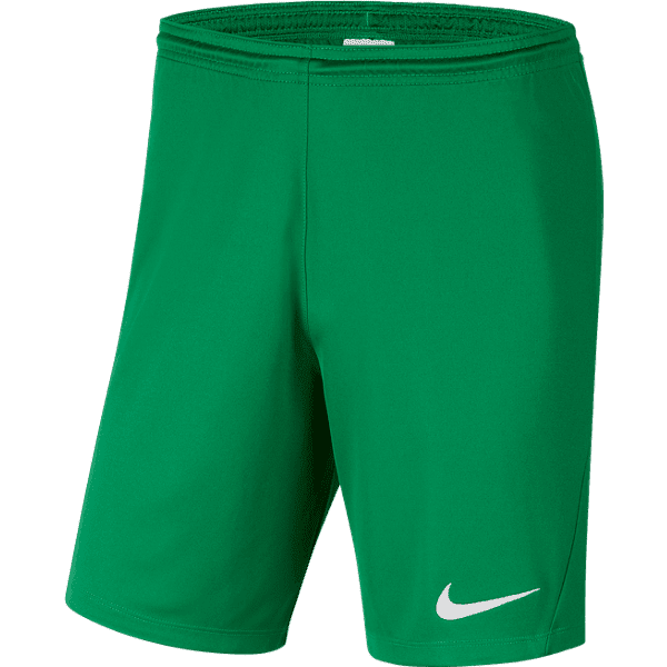 CROYDON CITY SC Youth Park 3 Short CROYDON CITY SC Nike Club Zone