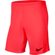 Youth Park 3 Shorts (BV6865-635) Apparel Nike