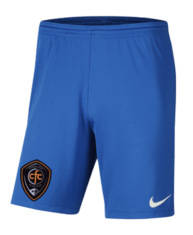 CAMPBELLFIELD FC  Men's Park 3 Shorts - GK (BV6855-463)