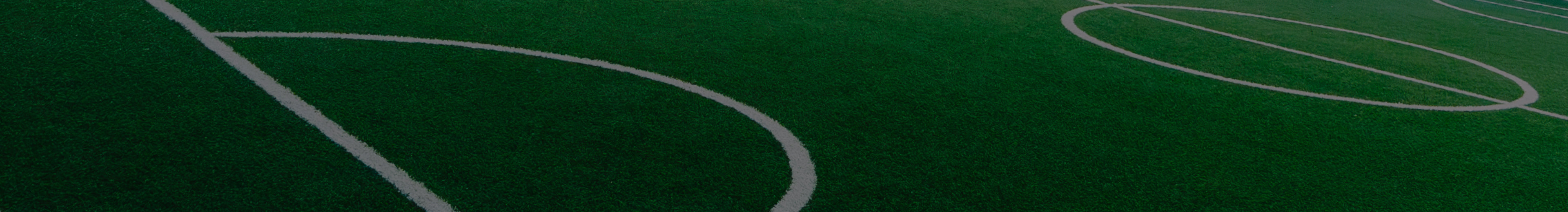 Collection_Banner_DB.jpg