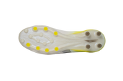 Scudetta AG (SC-GNB-AG)