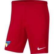 FITZROY FC Youth Nike Dri-FIT Park 3 Shorts - GK Kit FITZROY FC Nike Club Zone