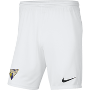 FITZROY FC Men's Nike Dri-FIT Park 3 Shorts - Away Kit FITZROY FC Nike Club Zone