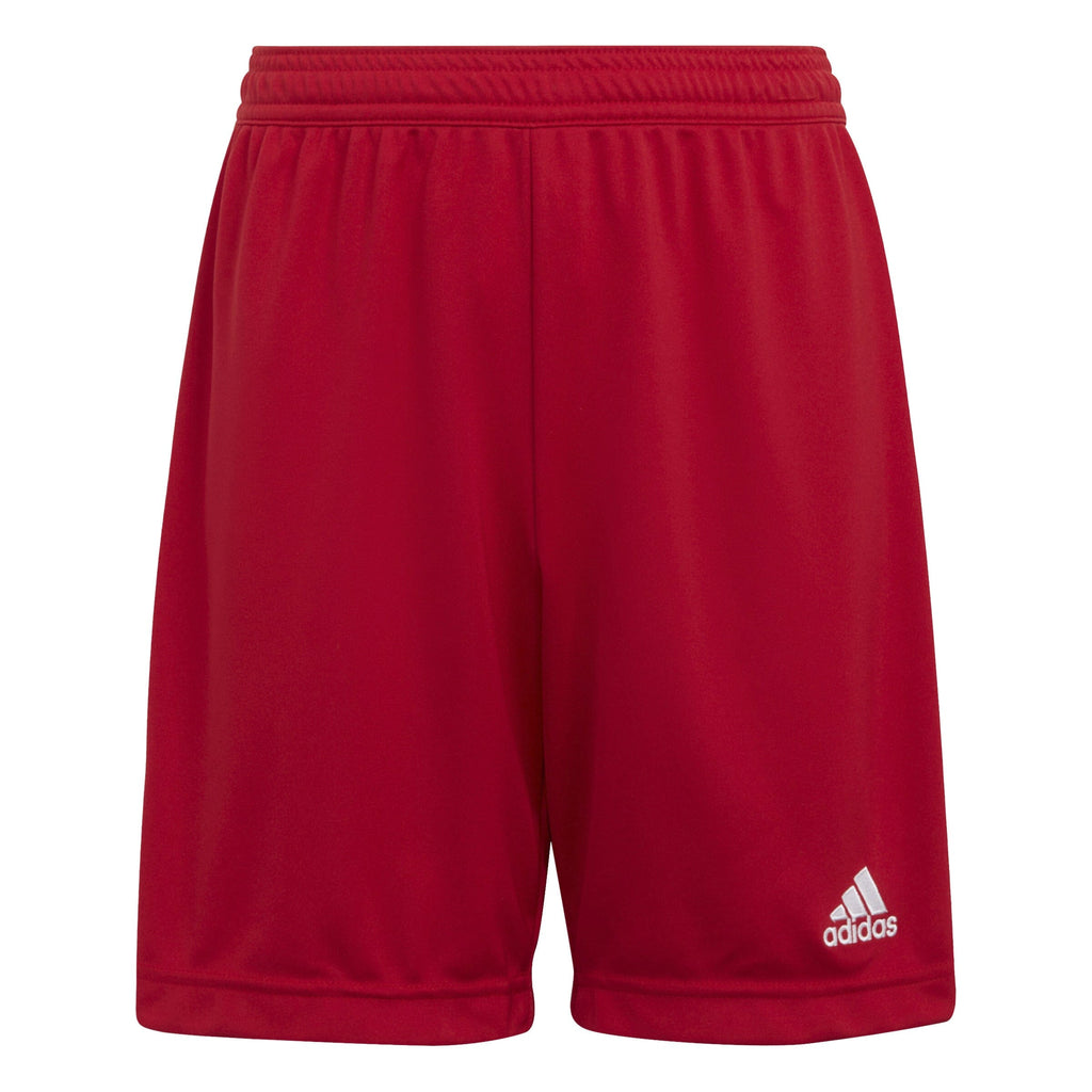 ALBION ROVERS  Entrada 22 Youth Shorts (H57501)