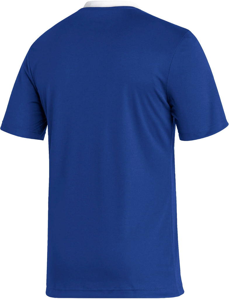 Entrada 22 Youth Jersey (HG3948)