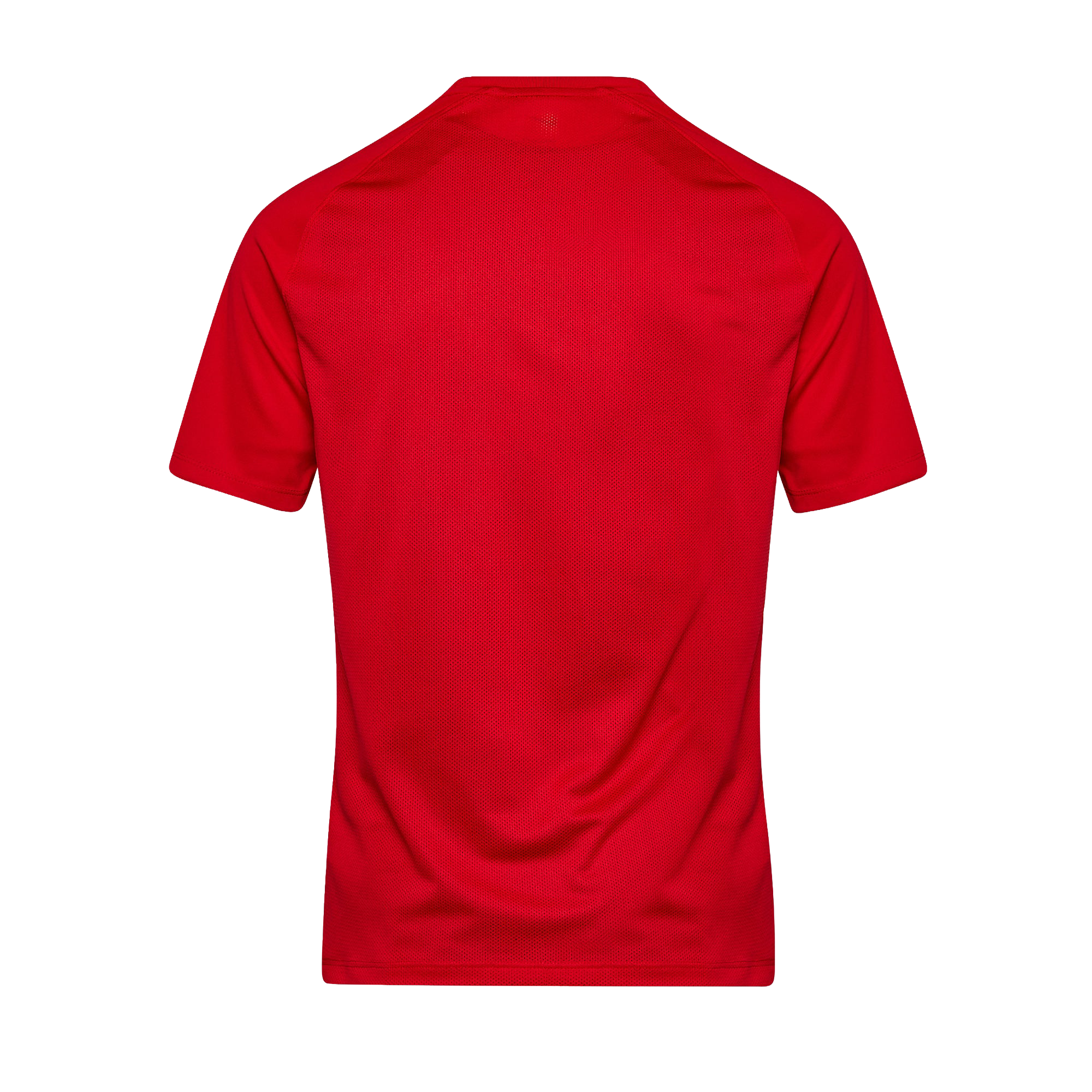Men's Park 8 Jersey (HV8173-657)