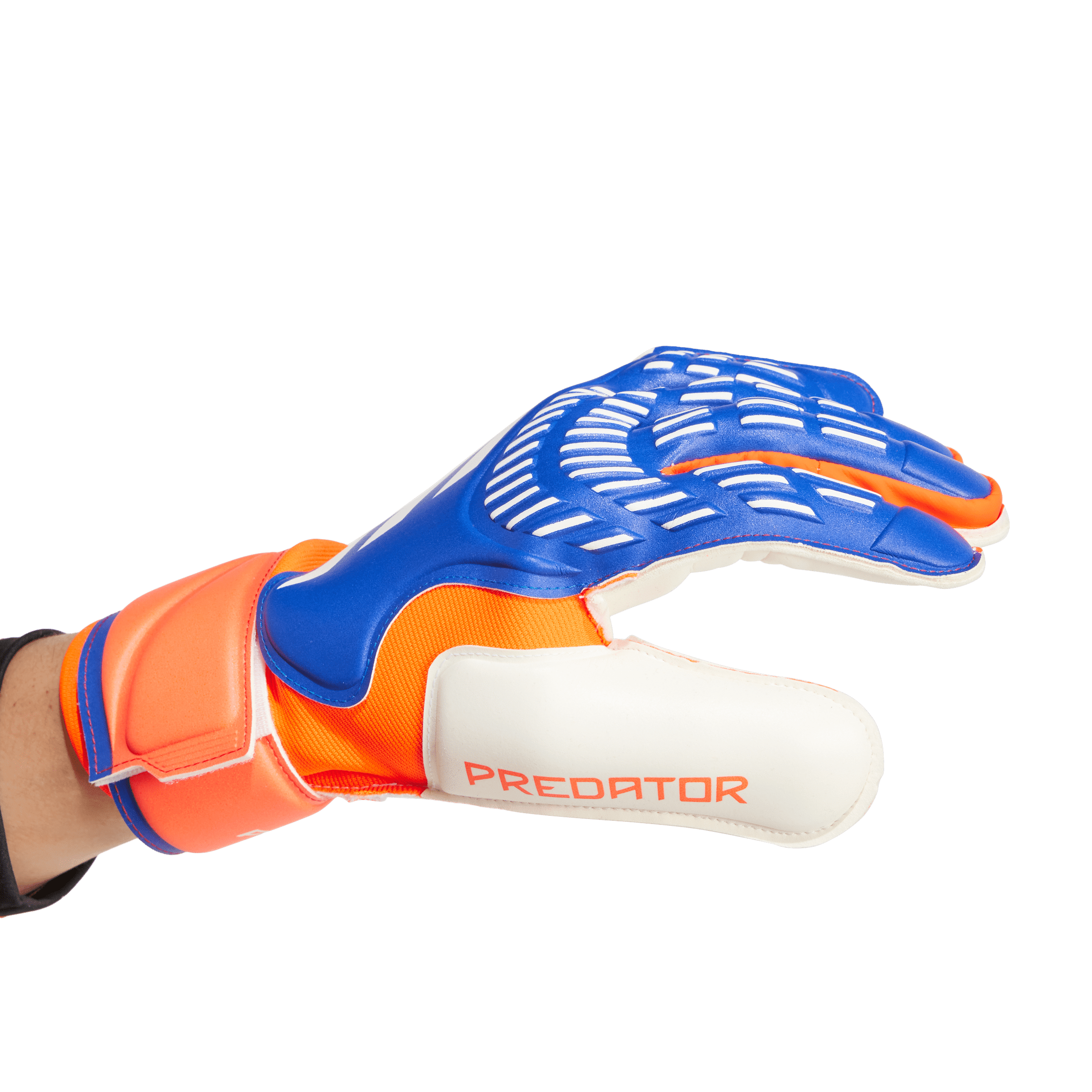 Predator Match Goalkeeper Gloves - Advancement Pack (IX3879) EQUIPMENT Adidas