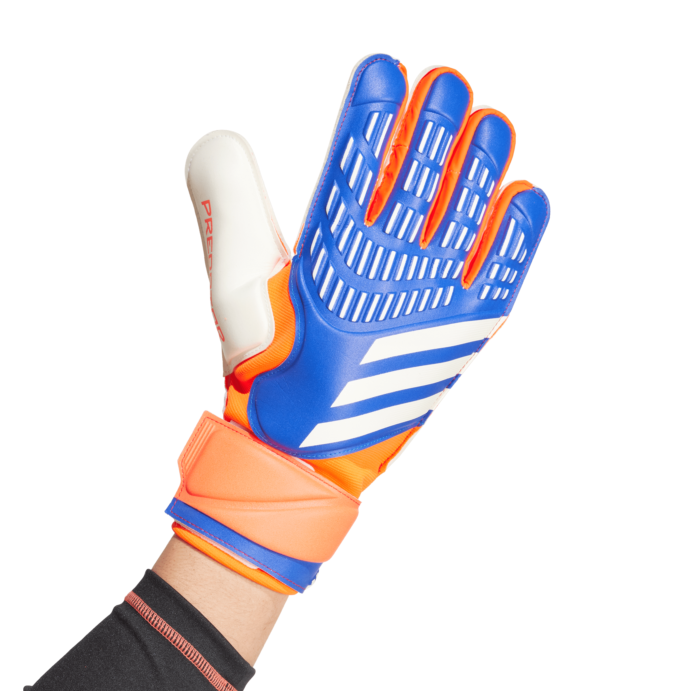 Predator Match Goalkeeper Gloves - Advancement Pack (IX3879) EQUIPMENT Adidas