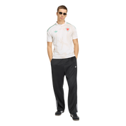 Wales 2026 Away Jersey (JL6928)