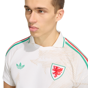 Wales 2026 Away Jersey (JL6928)