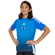 Jude Bellingham Youth Training Jersey (JX3939) Apparel Adidas