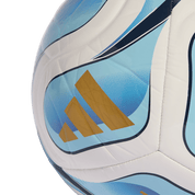 Trionda Argentina Home Club Ball (JY0304) EQUIPMENT Adidas
